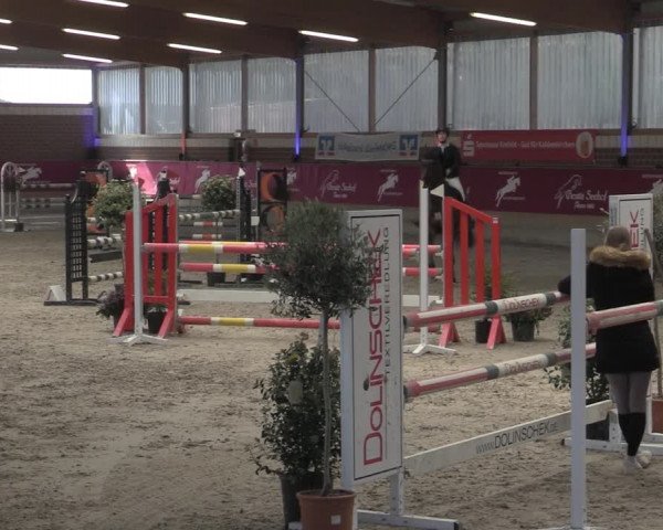 Reitturnier Kaldenkirchen - Gestüt Seehof 2023