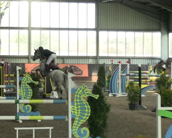 Reitturnier Greven 2023