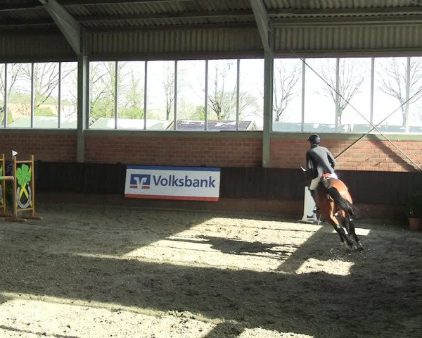 Reitturnier Greven 2023