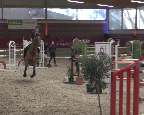 Reitturnier Kaldenkirchen - Gestüt Seehof 2023