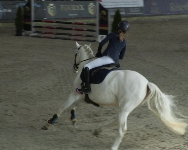 Reitturnier Karlsfeld/Obb. 2023