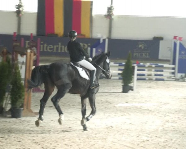 Reitturnier Karlsfeld/Obb. 2023