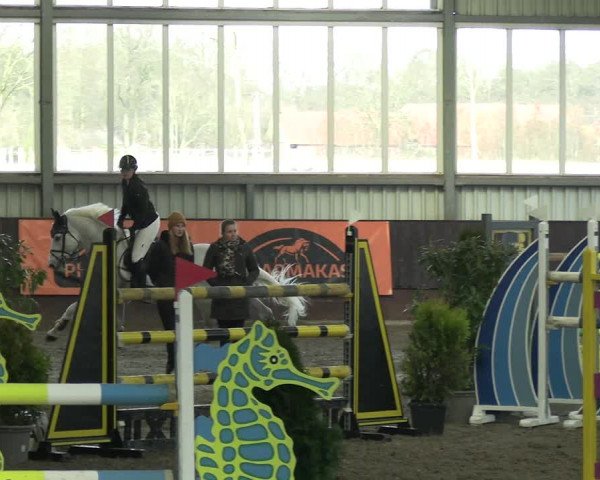 Reitturnier Greven 2023