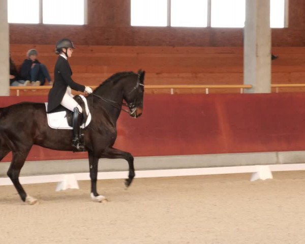 Reitturnier Balingen 2023