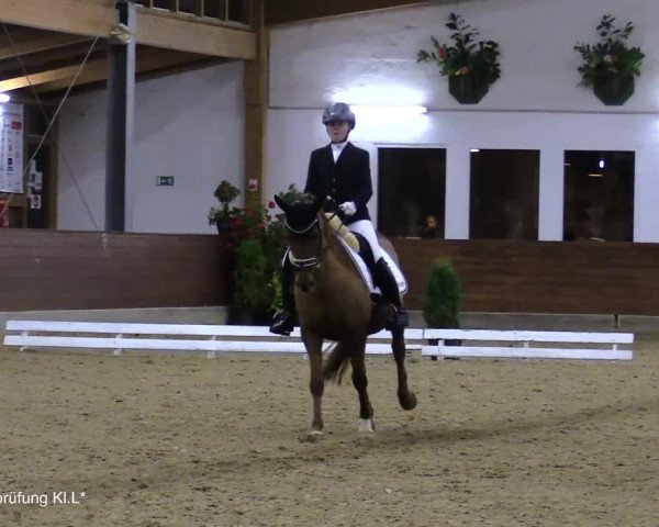 Reitturnier Coesfeld/Lette 2021