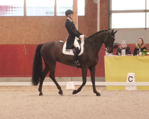 Reitturnier Balingen 2023