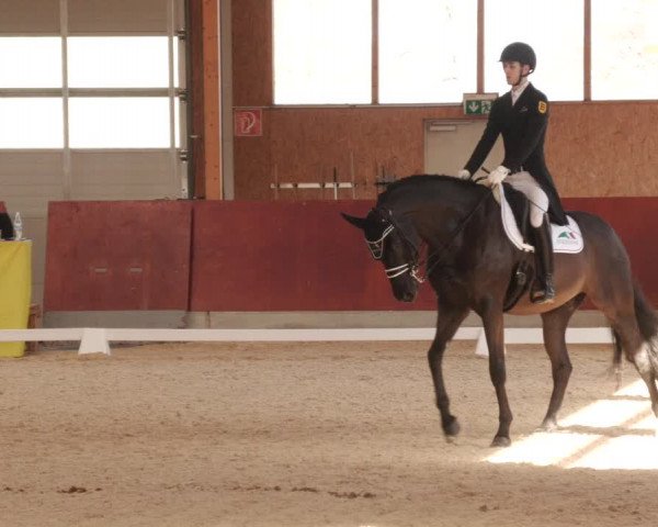 Reitturnier Balingen 2023