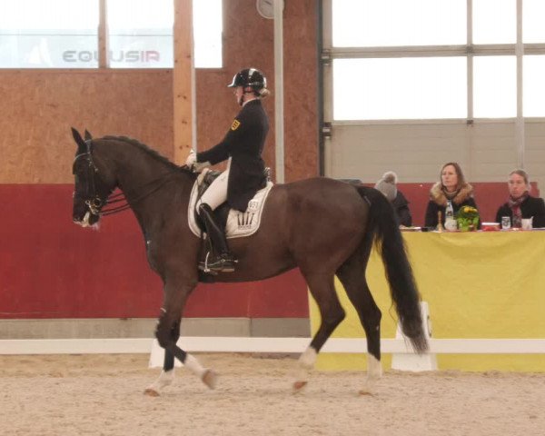 Reitturnier Balingen 2023