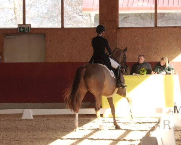 Reitturnier Balingen 2023