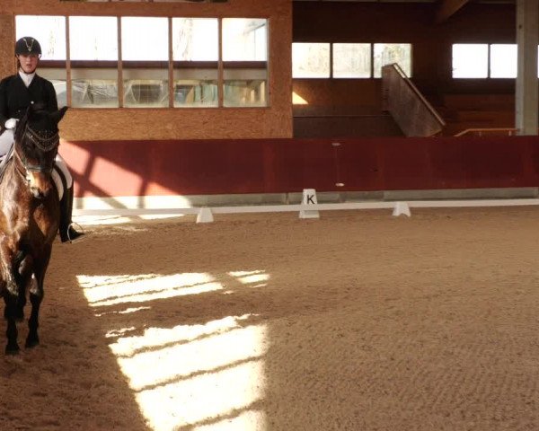 Reitturnier Balingen 2023