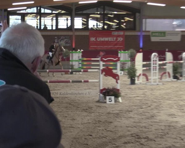 Reitturnier Kaldenkirchen - Gestüt Seehof 2023