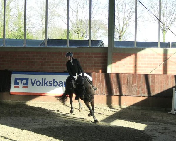 Reitturnier Greven 2023
