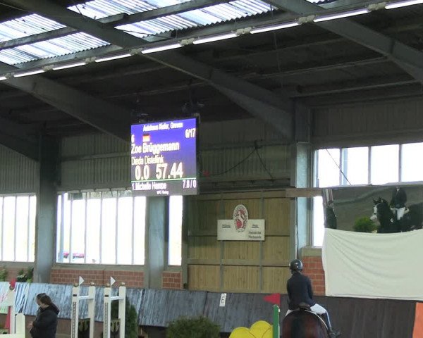 Reitturnier Greven 2023
