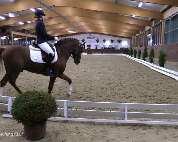 Reitturnier Coesfeld/Lette 2021