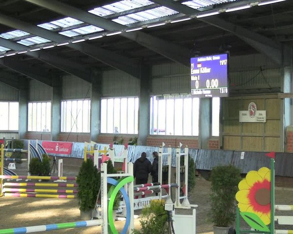 Reitturnier Greven 2023