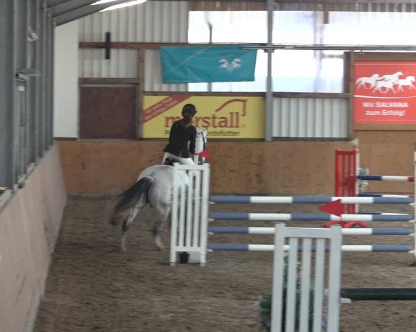 Reitturnier Schlieckau 2023