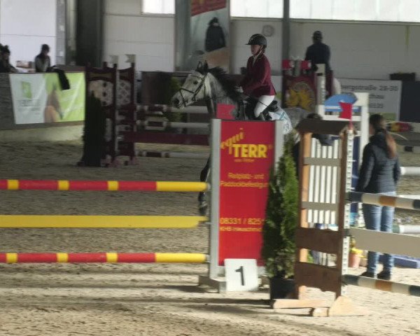 Reitturnier Karlsfeld/Obb. 2023
