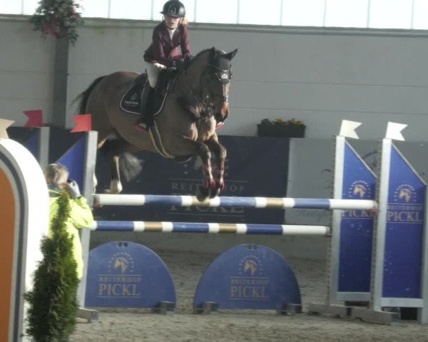 Reitturnier Karlsfeld/Obb. 2023