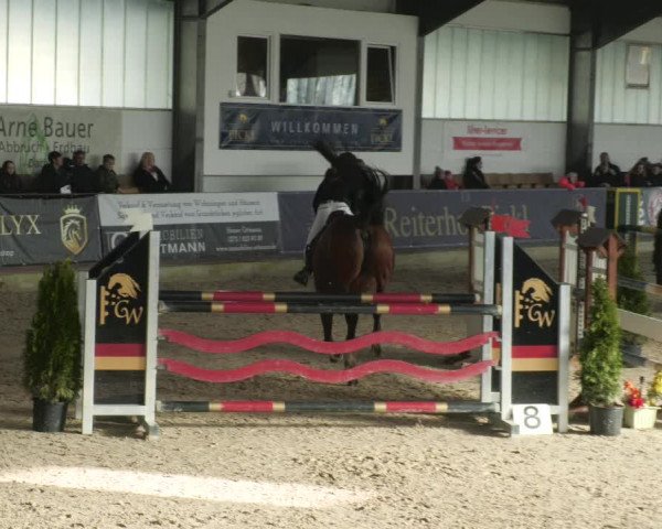 Reitturnier Karlsfeld/Obb. 2023