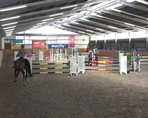 Reitturnier Schlieckau 2023