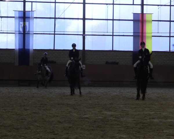 Reitturnier Hellefeld 2023