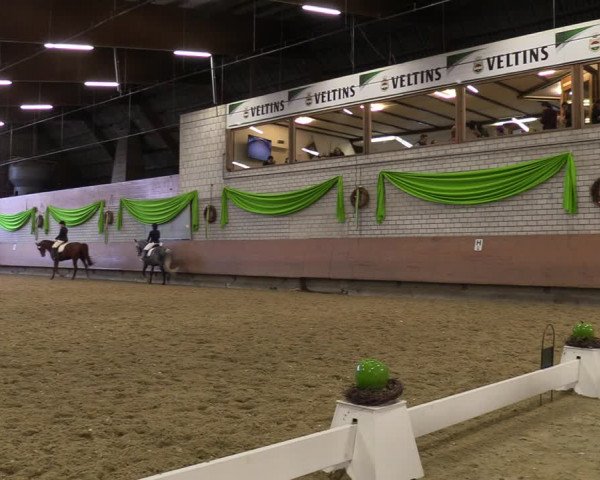 Reitturnier Hellefeld 2023