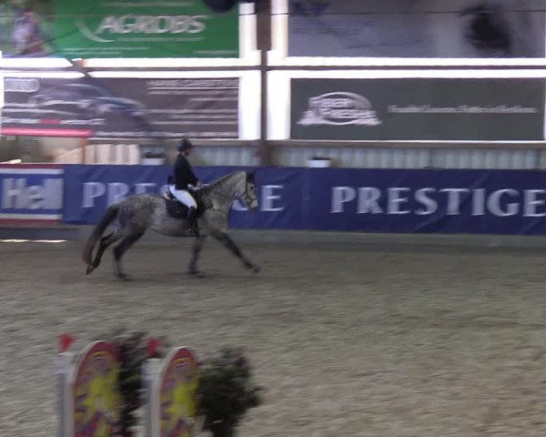 11. Nordic Jumping event Negernbötel 2023