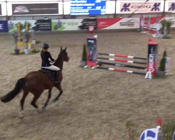 11. Nordic Jumping event Negernbötel 2023