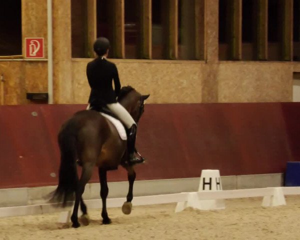 Reitturnier Balingen 2023