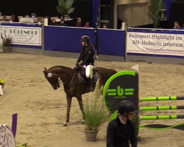 FEI Reitturnier Neumünster (GER) 2021