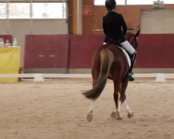 Reitturnier Balingen 2023