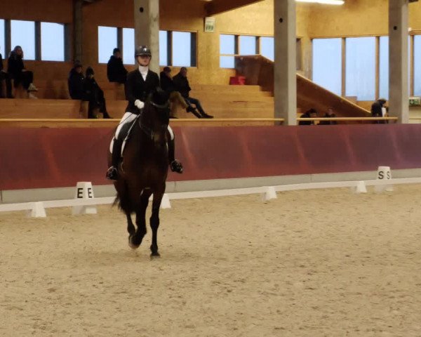 Reitturnier Balingen 2023