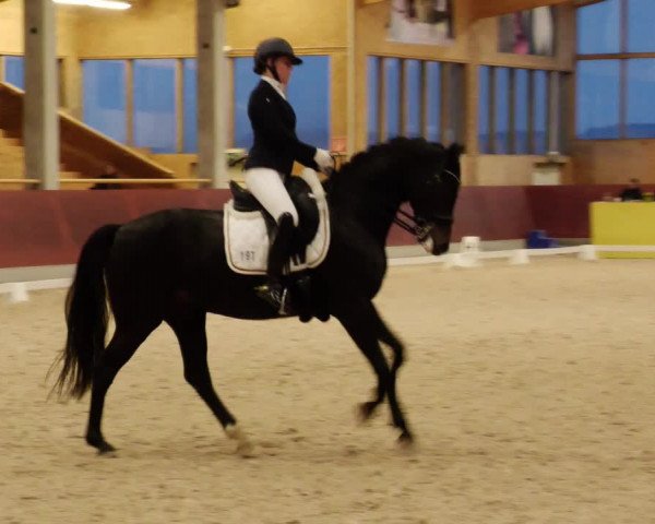 Reitturnier Balingen 2023