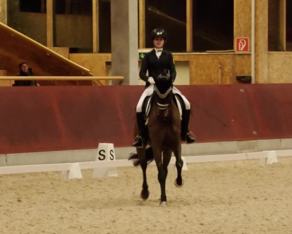 Reitturnier Balingen 2023