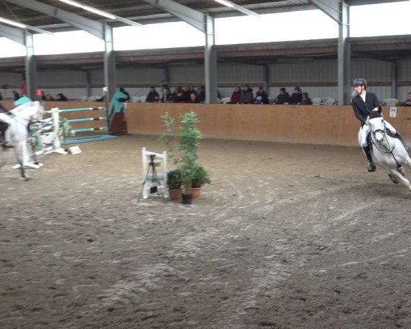 Reitturnier Schlieckau 2023