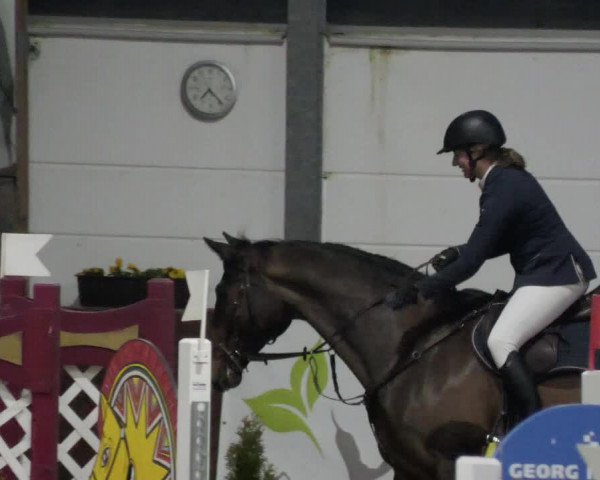 Reitturnier Karlsfeld/Obb. 2023