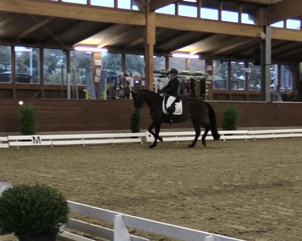 Reitturnier Coesfeld/Lette 2021