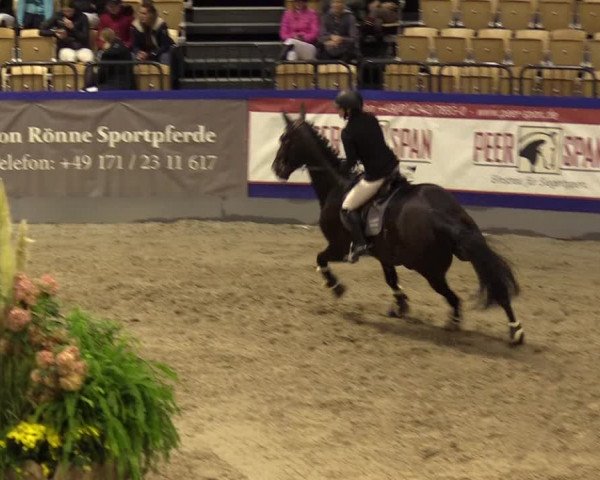 FEI Reitturnier Neumünster (GER) 2021