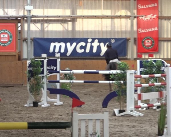 Reitturnier Schlieckau 2023
