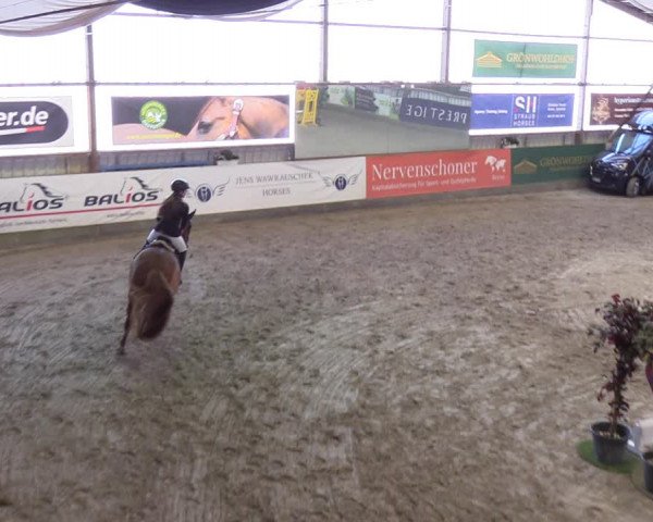 11. Nordic Jumping event Negernbötel 2023