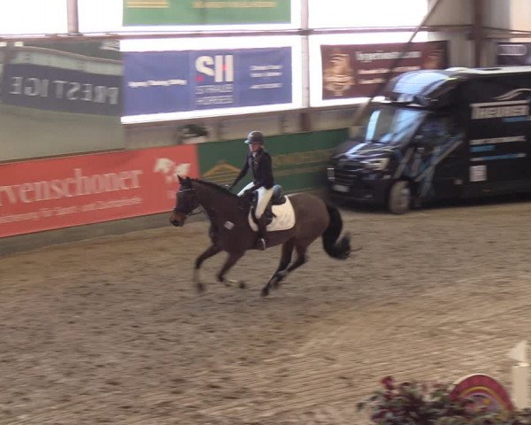 11. Nordic Jumping event Negernbötel 2023