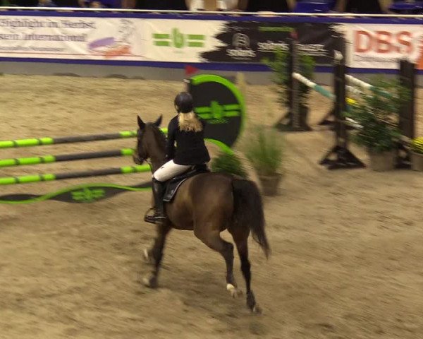 FEI Reitturnier Neumünster (GER) 2021