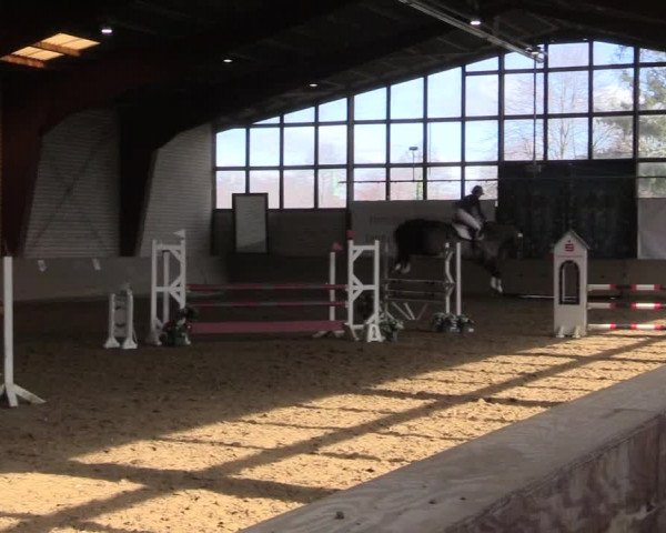 Reitturnier Kamen 2023
