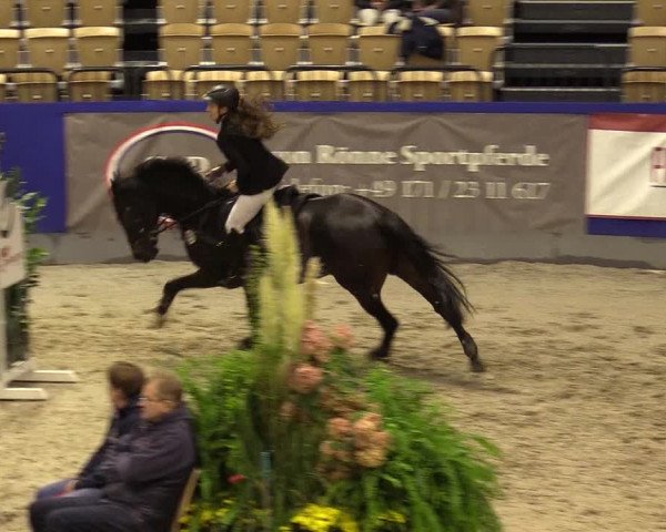 FEI Reitturnier Neumünster (GER) 2021