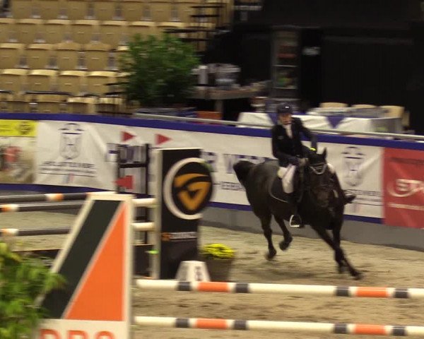 FEI Reitturnier Neumünster (GER) 2021