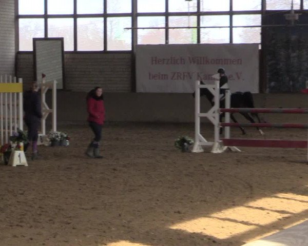Reitturnier Kamen 2023