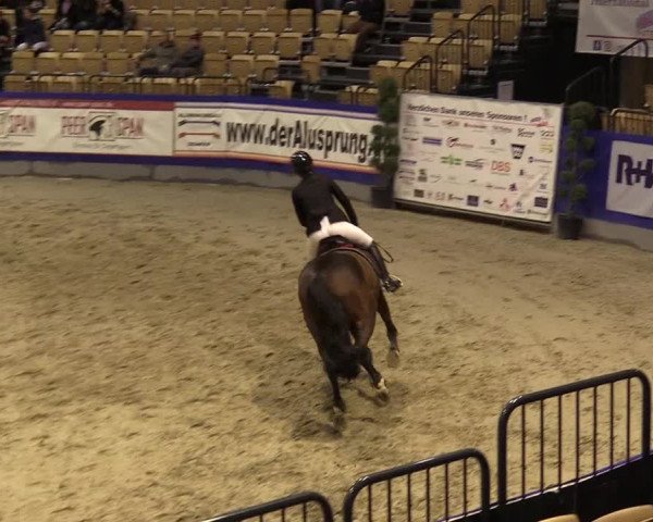 FEI Reitturnier Neumünster (GER) 2021