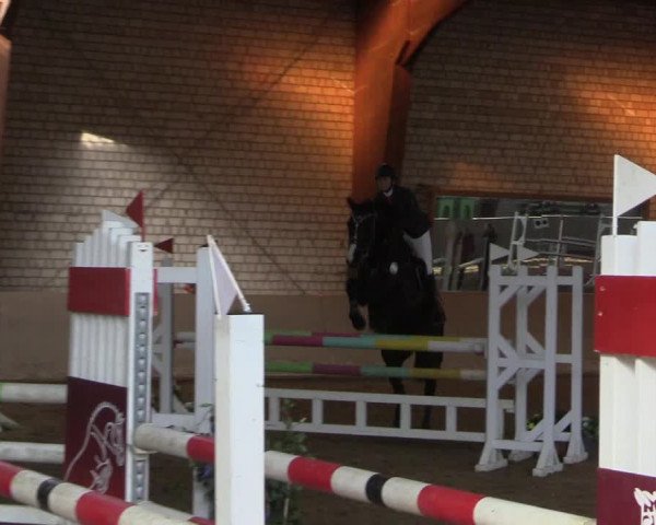 Reitturnier Kamen 2023