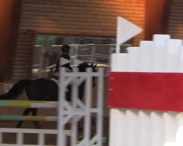 Reitturnier Kamen 2023