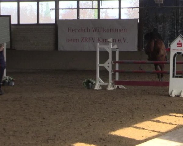 Reitturnier Kamen 2023